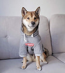 Stylish Streetwear Dog Hoodie
