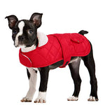 Queenmore Winter Dog Jacket