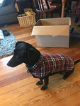 Dog Jacket for Cold Weather