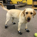 Dog Boots for Large Breed with Reflective Strips
