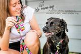 Vivid Floral Girl or Boy Dog Collar for Medium Dogs