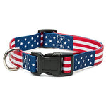 American Flag Dog Collar in 5 Different Sizes