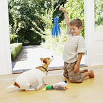 Squeaky Durable Dog Toys